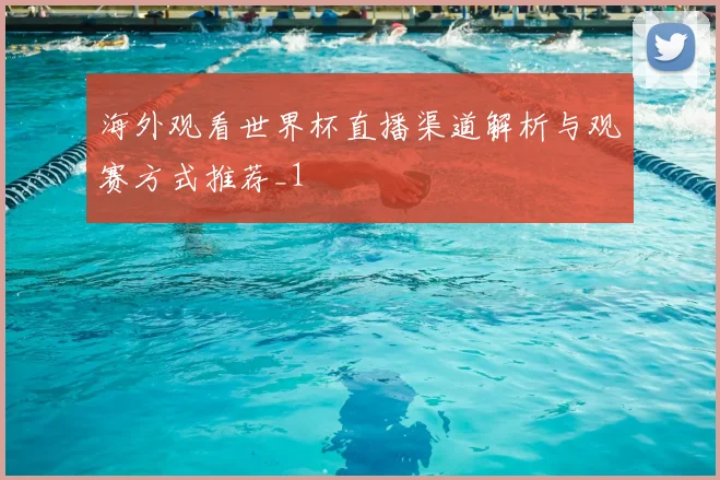 海外观看世界杯直播渠道解析与观赛方式推荐_1
