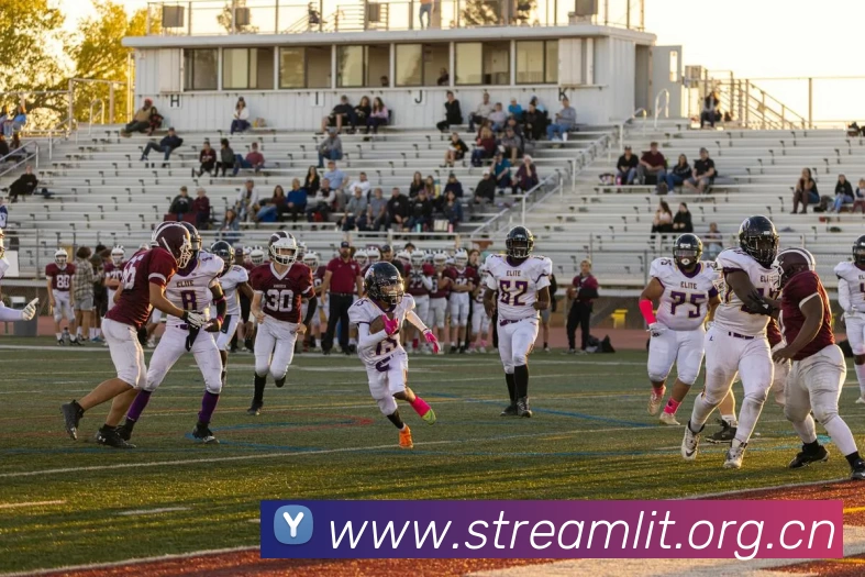 半岛网页版官网平台生态图